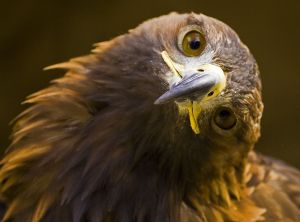 We're trying to take a look at things lots of different ways. 